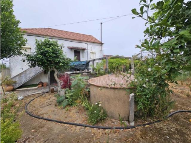 Casa venda em Ferreira Do Zêzere, Brasileira