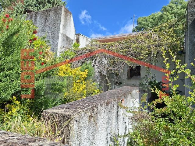 Casa venda em Bemposta, Mogadouro