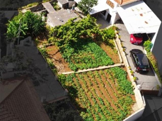Casa venda em Lombo dos Serrões, Calheta