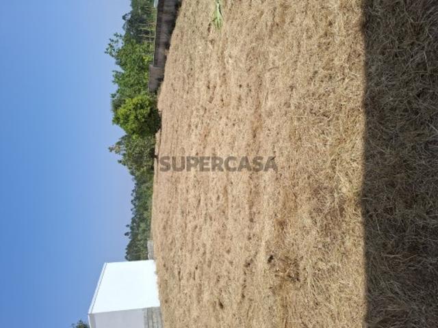 Casa venda em Senhor das Almas, Soure