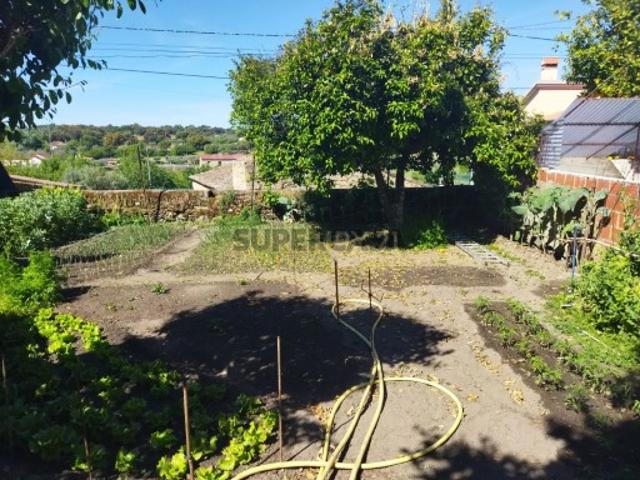 Casa venda em Castelo Branco