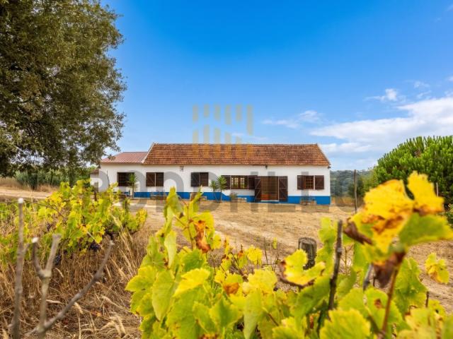 Casa venda em Óbidos, Leiria