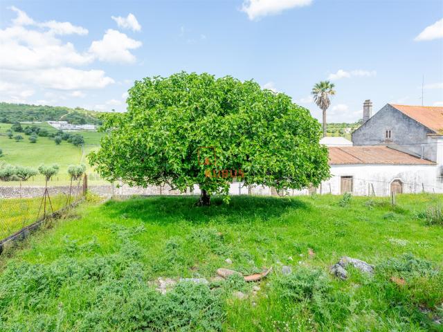 Casa venda em Alcanena, Santarém