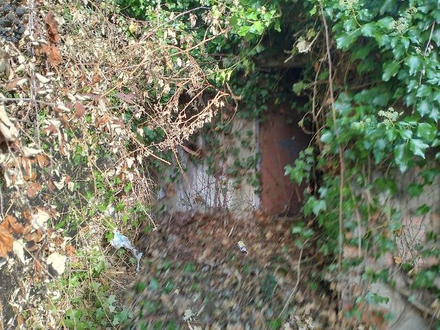 Casa venda em Cadaval, Painho