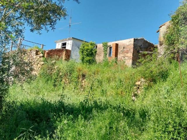 Casa venda em Arganil, Pombeiro Da Beira