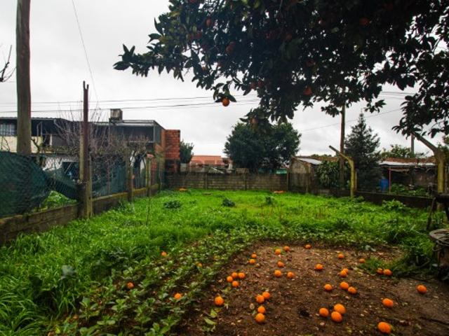 Casa venda em Coimbrã, São João Do Campo