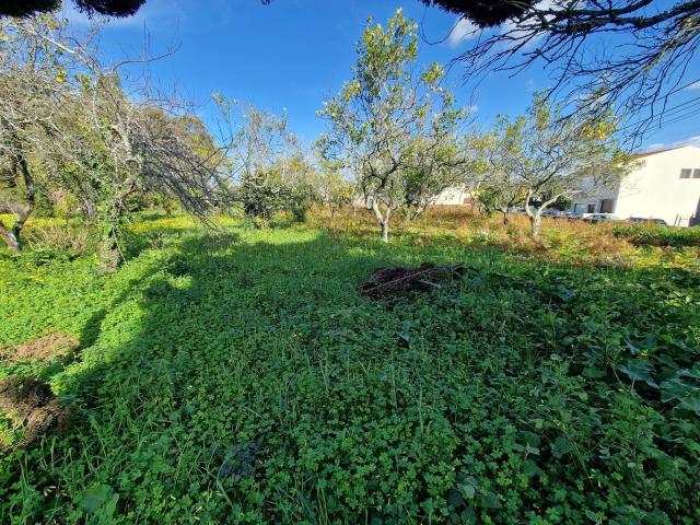 Casa venda em Santa Maria Da Feira, Aveiro