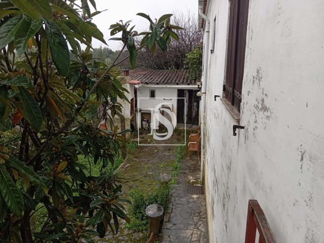 Casa venda em Constância, Santarém