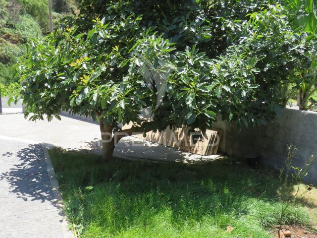 Casa venda em São Vicente, Ilha Da Madeira