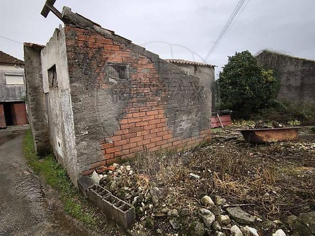 Casa venda em Coimbrã, Botão