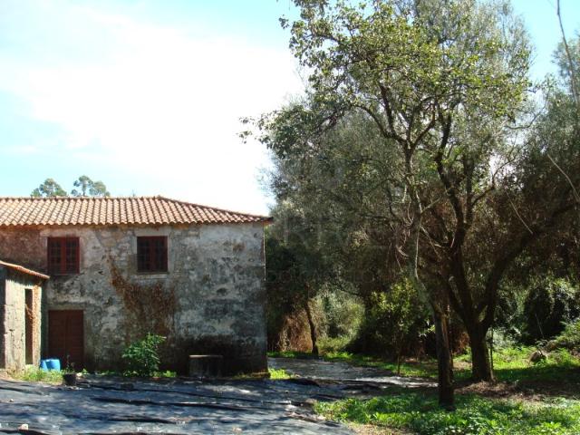Quinta venda em Esposende, Braga