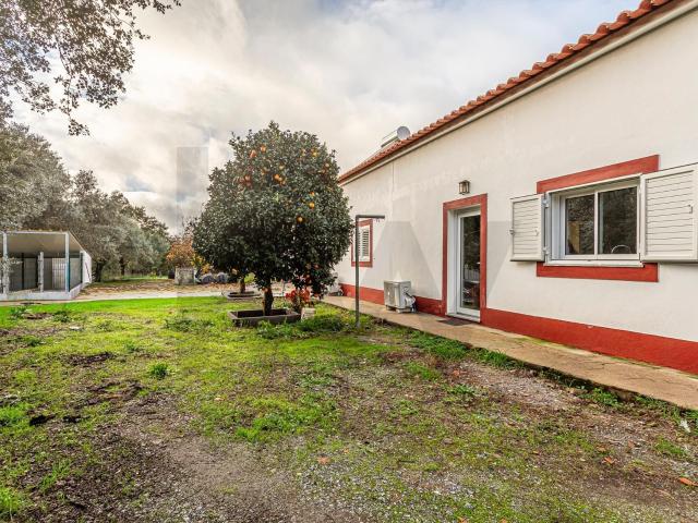 Casa venda em Montemor-o-novo, Évora