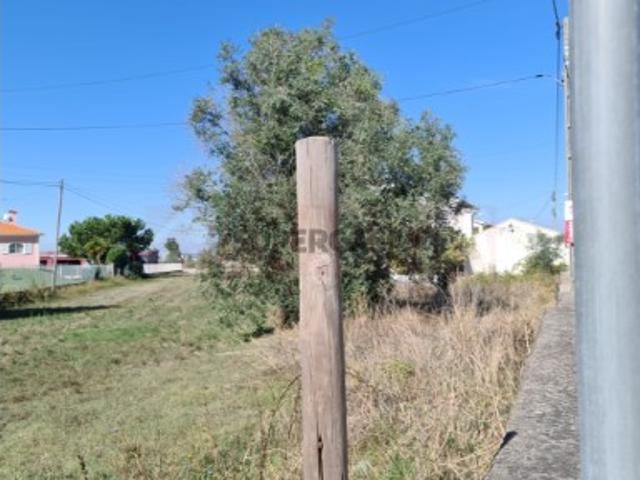 Casa venda em Coimbrã, Ameal