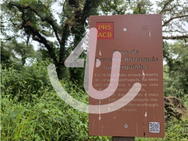 Casa venda em Alcobaça, Leiria