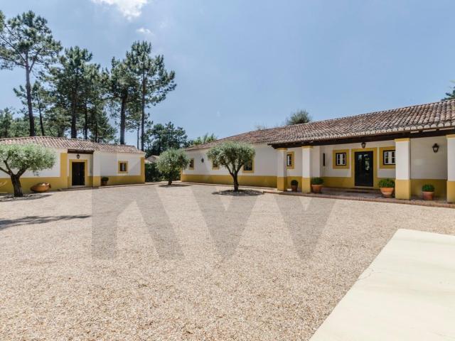 Quinta venda em Azeitão (São Lourenço e São Simão), Setúbal