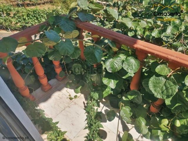 Casa venda em Castelo Branco, Cumeada