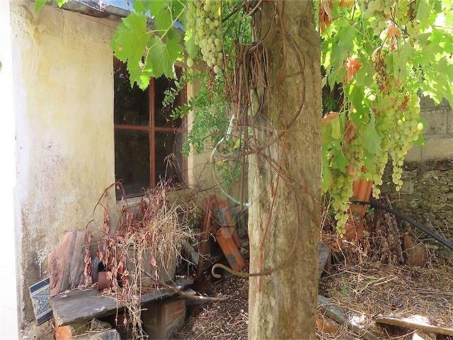 Casa venda em Benquerenças, Castelo Branco
