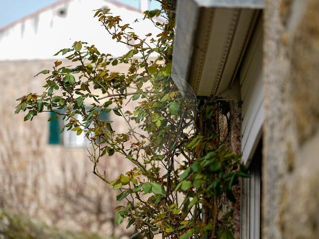 Casa venda em Louriçal do Campo, Castelo Branco