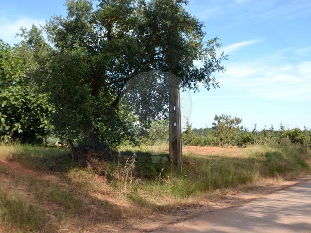 Casa venda em Cadaval, Alguber