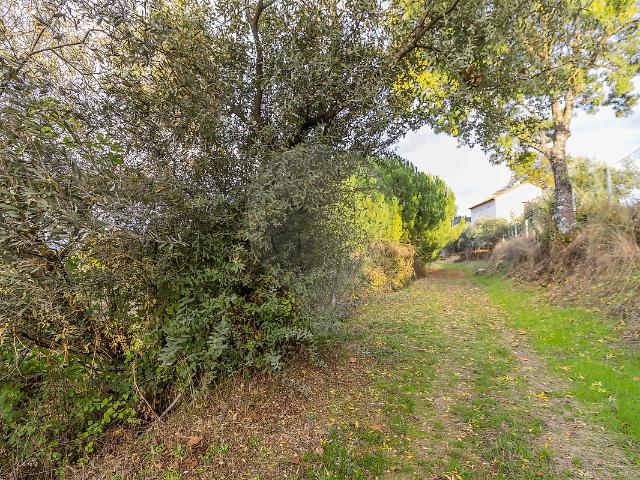 Casa venda em Castelo Branco