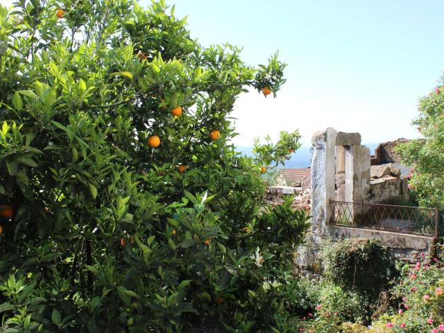 Casa venda em Tondela, Viseu