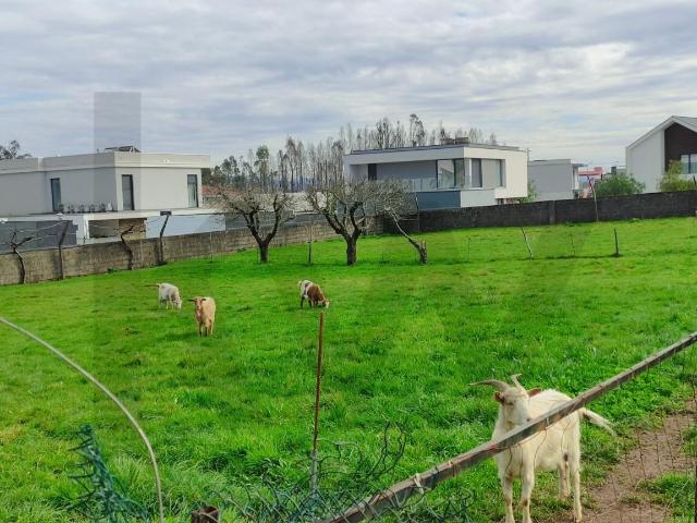 Casa venda em Assilhó, Albergaria-a-velha
