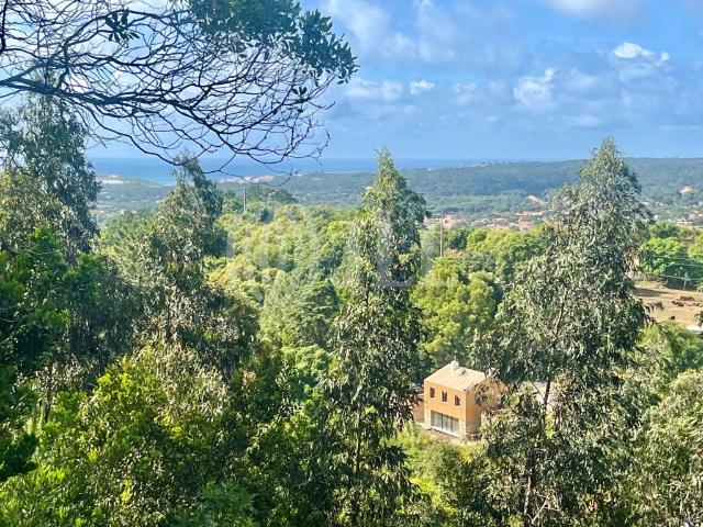 Vivenda venda em Sintra, Lisboa
