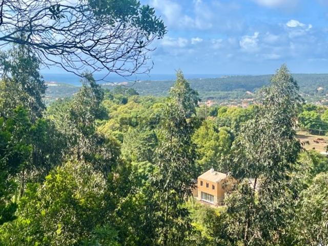 Casa venda em Sintra, Lisboa