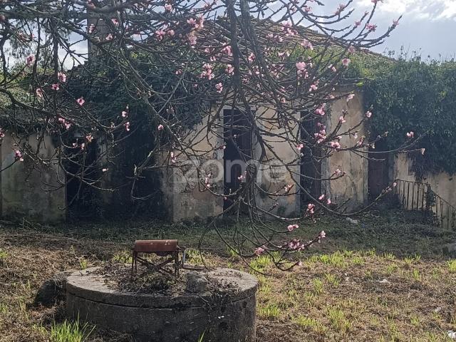 Casa venda em Oliveira De Azeméis, Aveiro