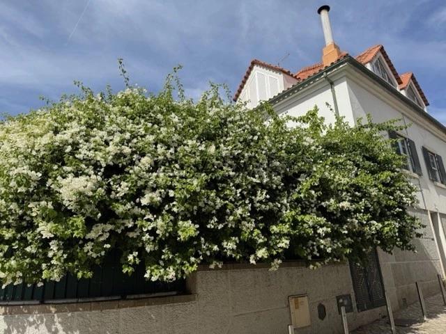 Casa alugar em Cascais, Lisboa