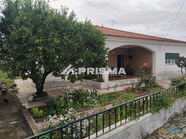 Casa venda em Castelo Branco, Idanha-a-nova