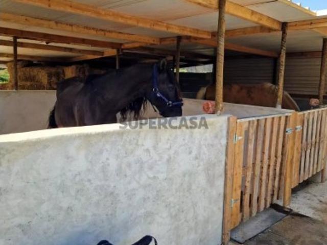 Casa venda em Columbeira, Bombarral