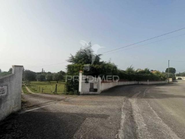 Casa venda em Curvaceiras Pequenas, Tomar