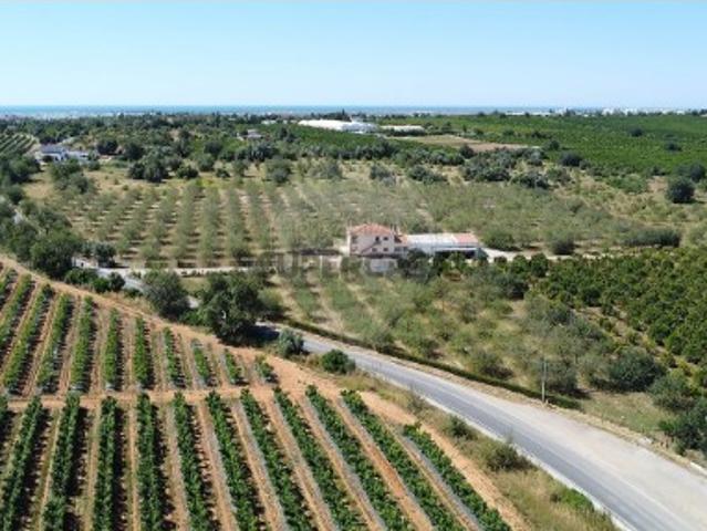Casa venda em Capelinha, Tavira
