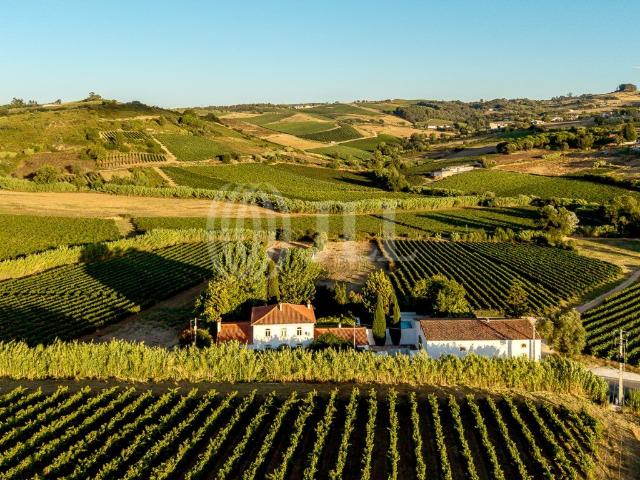 Vivenda venda em Casais do Sobrigal, Torres Vedras