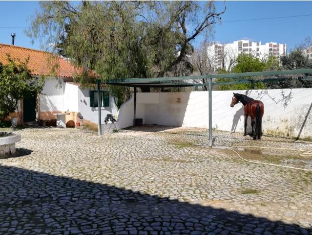 Casa alugar em Casal do Privilégio, Odivelas