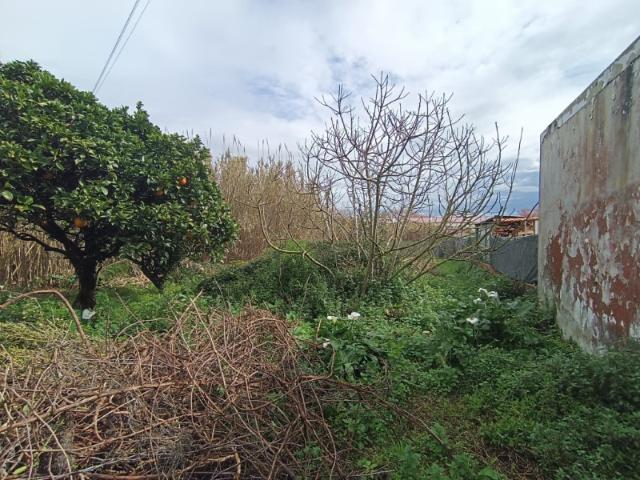 Moradia venda em Figueira Da Foz, Santa Luzia