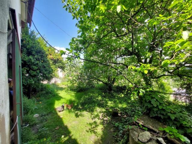 Casa venda em Monte Salvado, Viseu
