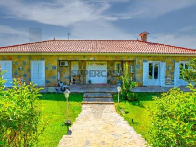 Casa venda em Madalena e Beselga, Tomar