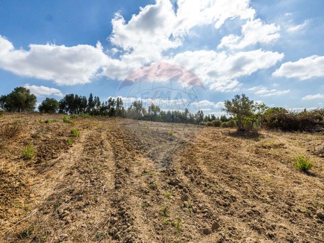 Casa venda em Larojo, Rio Maior