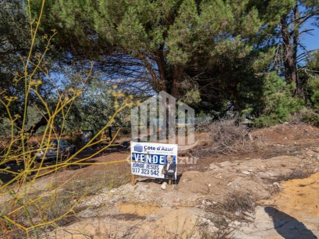 Propriedade venda em Sesimbra, Charneca Grande