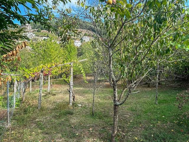 Casa venda em Souselo, Viseu