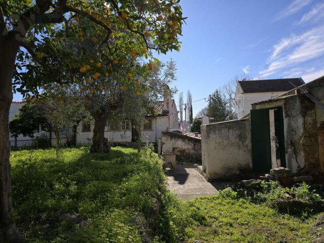 Casa venda em Vila Nova Da Barquinha, Santarém