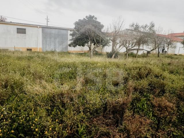 Casa venda em Coruche, Santarém