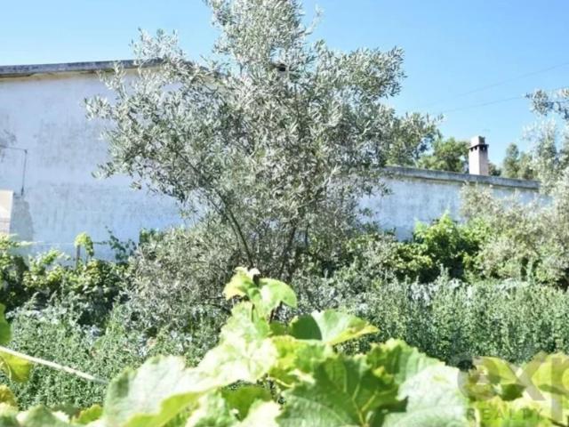 Casa venda em Ribeira Velha, Figueiró Dos Vinhos