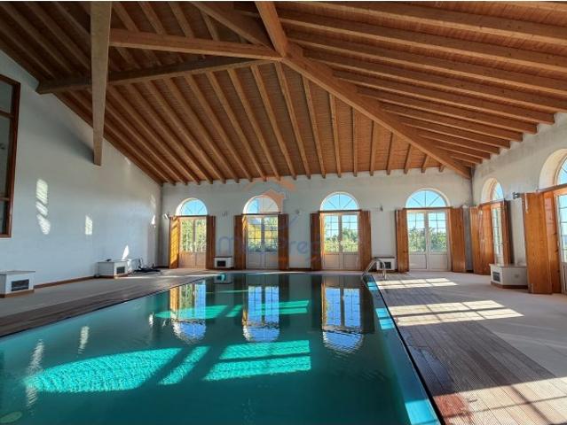Casa venda em São Pedro de Tomar, Tomar