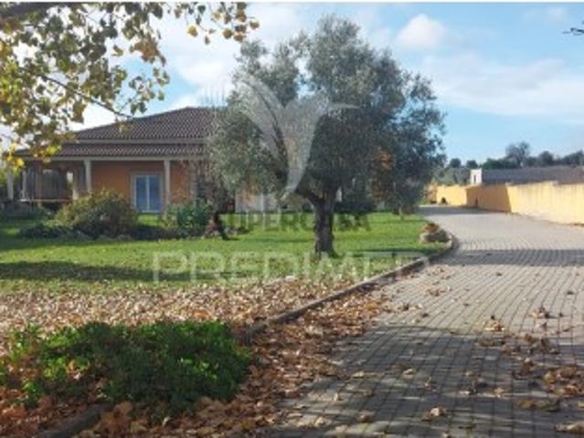 Casa venda em Santarém