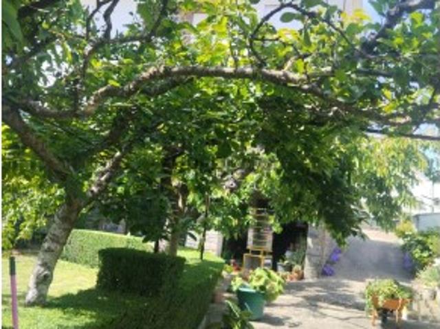 Casa venda em Bragança
