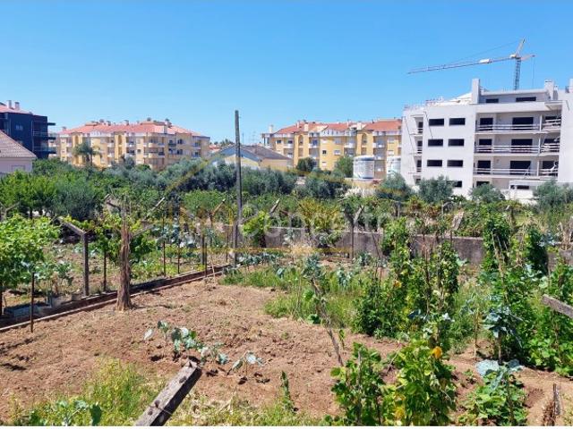 Casa venda em Entroncamento, Nossa Senhora De Fátima