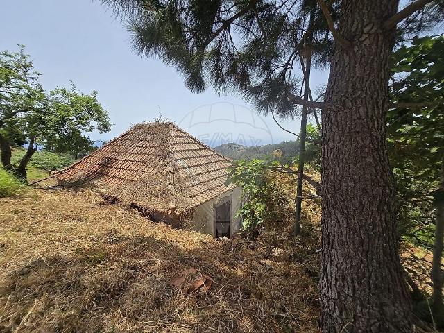 Prédio venda em Azenha, Santa Cruz